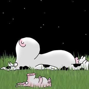 Meet your Posher, Christy